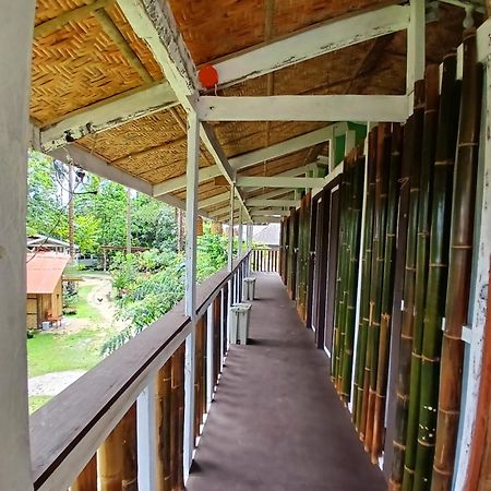 Bohol Hammock Hostel Batuan Extérieur photo