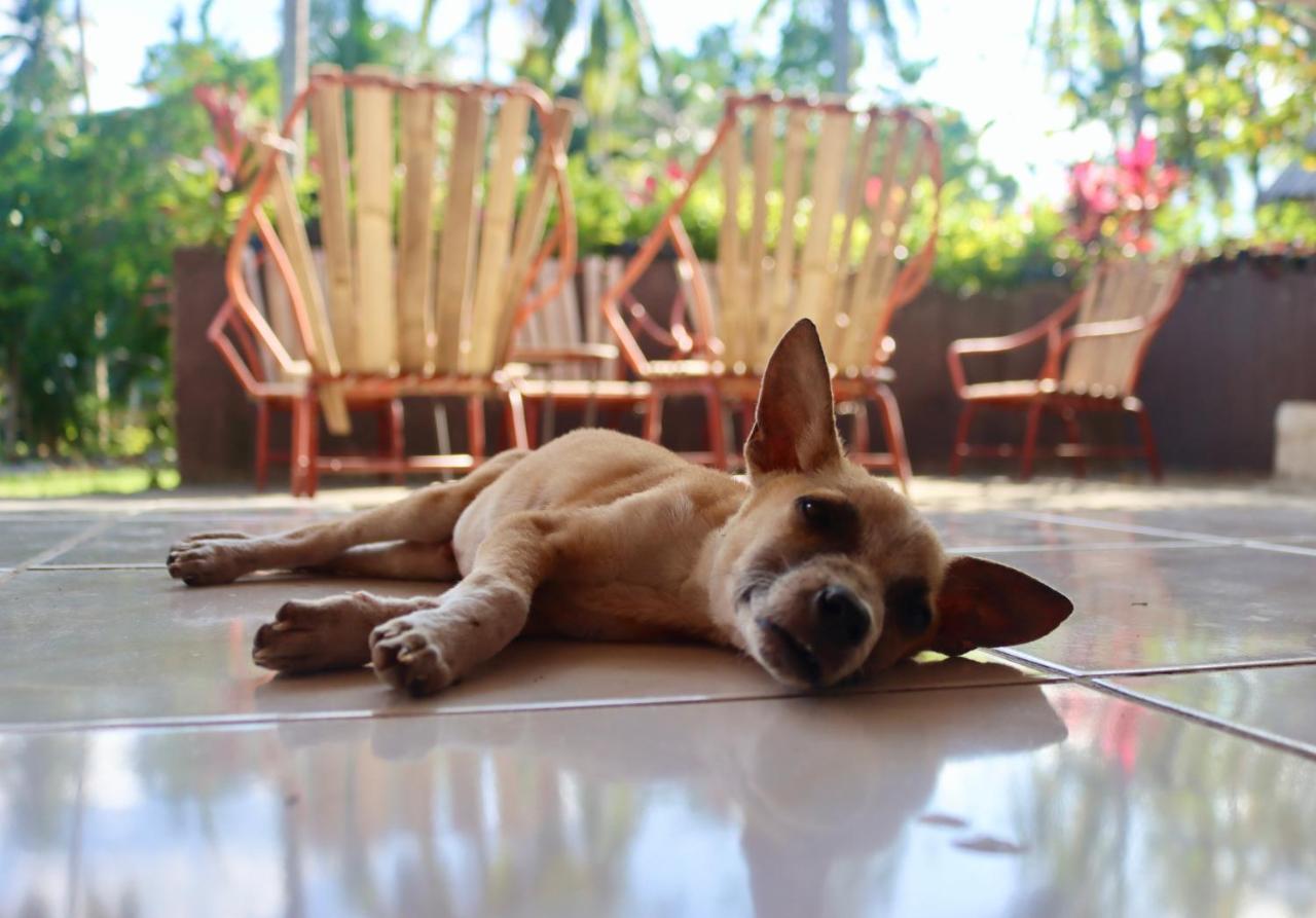 Bohol Hammock Hostel Batuan Extérieur photo