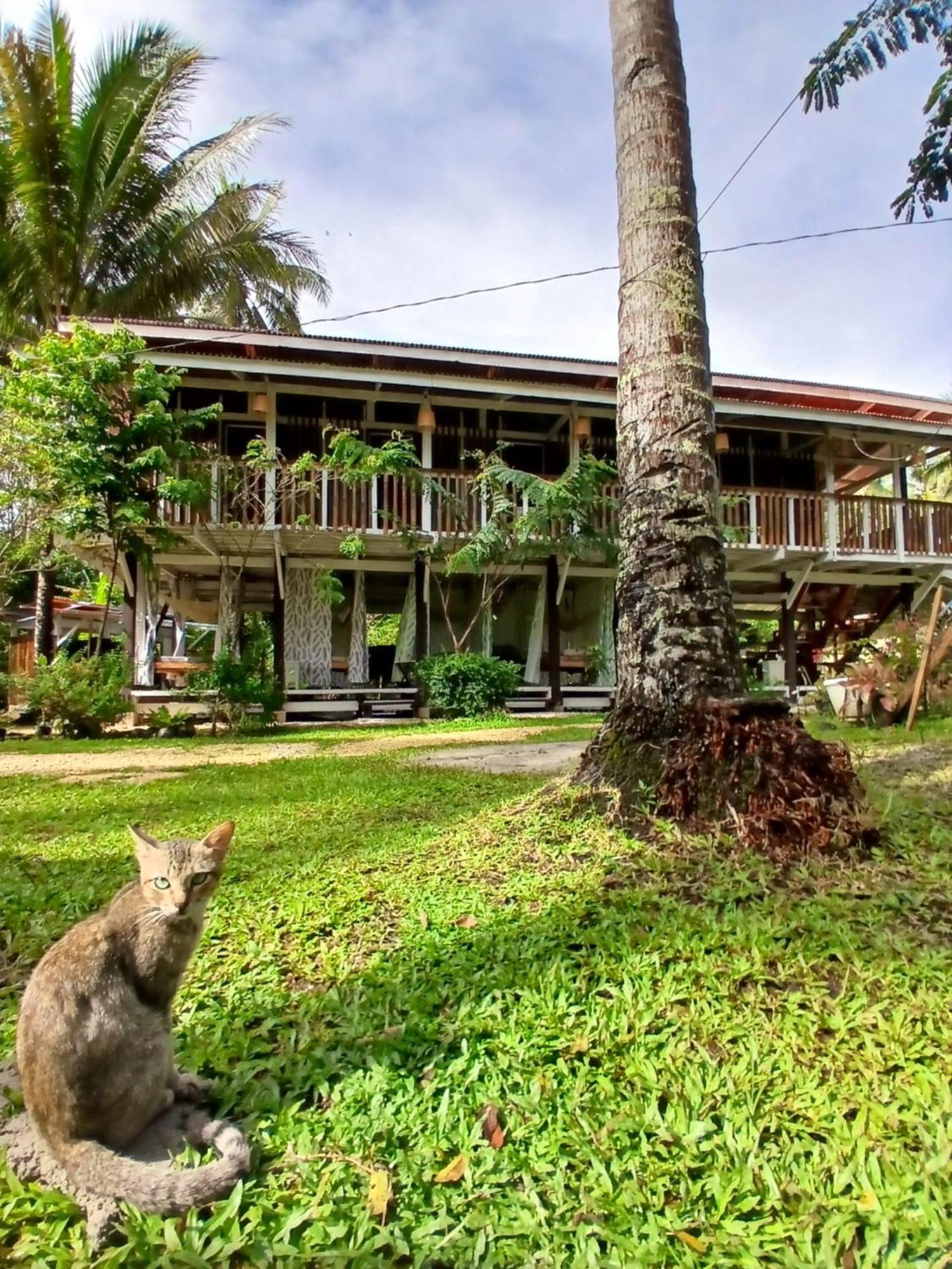 Bohol Hammock Hostel Batuan Extérieur photo
