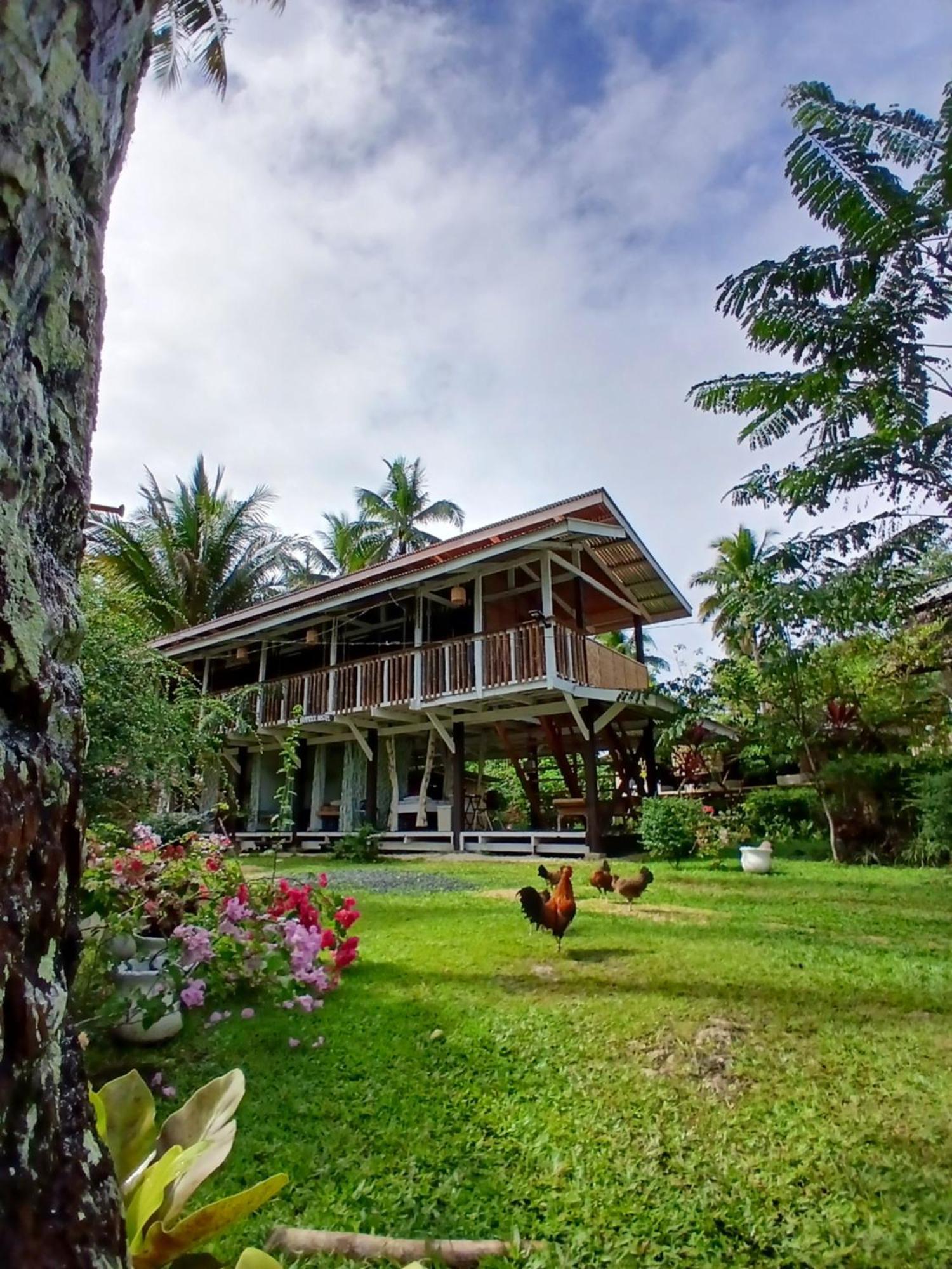 Bohol Hammock Hostel Batuan Extérieur photo
